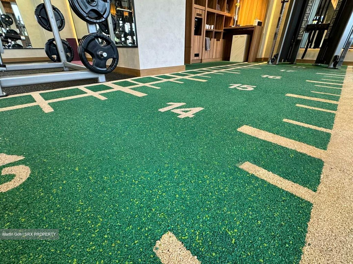 College Green (D11), Detached #497622311